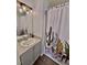 Bathroom featuring a vanity with a sink, a shower with a decorative cactus curtain, and modern lighting at 2323 Turtle Point Dr, Raleigh, NC 27604