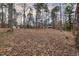 Large level backyard, partially wooded, with leaves blanketing the ground at 48 Margaret Pl, Chapel Hill, NC 27516