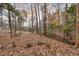 View of the wooded backyard with mature trees and leaves blanketing the ground at 48 Margaret Pl, Chapel Hill, NC 27516