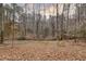 View of the secluded backyard with mature trees and leaves blanketing the ground at 48 Margaret Pl, Chapel Hill, NC 27516