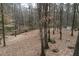 Expansive backyard featuring a creek and mature trees offering privacy at 48 Margaret Pl, Chapel Hill, NC 27516
