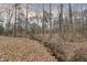 Scenic view of a natural creek flowing through a wooded area covered in fallen leaves at 48 Margaret Pl, Chapel Hill, NC 27516