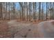 Long driveway through the woods leading to the home at 7214 Southern Trl, Chapel Hill, NC 27516