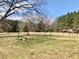 Expansive backyard with natural pine forest and green grass areas, ideal for recreation at 1111 Spring Valley Lake Rd, Henderson, NC 27537