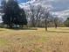 Large backyard featuring a grassy yard and mature trees creating a private setting at 1111 Spring Valley Lake Rd, Henderson, NC 27537