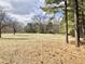 Open grass backyard with sparse pine straw and natural surroundings at 1111 Spring Valley Lake Rd, Henderson, NC 27537