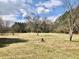 Spacious green backyard bordered by mature trees, offering a serene outdoor space at 1111 Spring Valley Lake Rd, Henderson, NC 27537
