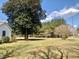 Property view showing a mature shade tree, side yard and view of a neighboring pine forest at 1111 Spring Valley Lake Rd, Henderson, NC 27537