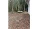 Exterior backyard featuring mature bamboo, a large propane tank and a partial home view at 186 Frank Cash Rd, Timberlake, NC 27583