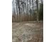 Scenic wooded lot with gravel and natural ground cover at 186 Frank Cash Rd, Timberlake, NC 27583