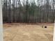 Spacious, undeveloped backyard with a treeline and construction barrier at 2454 Englemann Dr # 380, New Hill, NC 27562