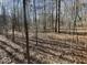 Heavily wooded lot with plenty of hardwood trees and space to roam at 33 Henry Ct, Chapel Hill, NC 27516