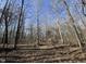 A beautiful natural landscape showing the trees, underbrush, and ground at 33 Henry Ct, Chapel Hill, NC 27516