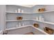 Walk-in pantry features multiple shelves and storage baskets for kitchen essentials at 1133 Sun Springs Rd, Wake Forest, NC 27587