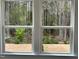 A beautiful view through the windows with tall trees and green foliage at 660 Sun Meadow Dr, Wake Forest, NC 27587