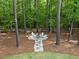 Backyard fire pit with seating, surrounded by towering trees, making it an ideal space for outdoor gatherings at 6829 Palaver Ln, Cary, NC 27519