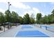 Outdoor pickleball courts with blue and gray surfacing, surrounded by lush greenery at 12417 Richmond Run Dr, Raleigh, NC 27614