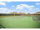 Outdoor tennis court with a green surface and black fencing at 1354 Briar Chapel Pkwy, Chapel Hill, NC 27516