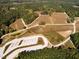 Expansive aerial view of beautiful property, surrounded by lush forestry and featuring ample parking at 266 Sweetbay Tree Dr, Wendell, NC 27591