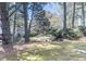 A wooded backyard featuring tall trees and an expansive grassy area with scattered pine needles, offering a natural setting at 7708 Falcon Rest Cir, Raleigh, NC 27615