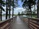 Scenic view of the community lake with a fountain, walking pier and lush, mature trees at 2335 Whitewing Ln, Wendell, NC 27591