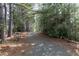 Paved pathway through a peaceful wooded area, perfect for walking and enjoying nature at 500 Chandler Grant Dr, Cary, NC 27519