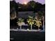 Serene backyard featuring decorative palm trees, a still pond, lush trees, and a luminous full moon overhead at 123 Glasgow Dr, Clayton, NC 27520