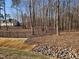 A partially wooded backyard with an iron fence surrounding the property at 1600 Sweetwater Ln, Raleigh, NC 27610