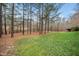 Lush backyard with a vibrant green lawn surrounded by majestic trees, offering serene privacy at 7001 Millstone Ridge Ct, Raleigh, NC 27614