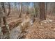 Tranquil creek view featuring a gentle stream flowing through a wooded area at 7001 Millstone Ridge Ct, Raleigh, NC 27614