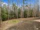 A spacious backyard with mature trees and a partially finished lawn at 100 Lexington Ave, Zebulon, NC 27597