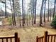 Wooded backyard view from the back porch with mature trees and natural light at 105 Cross Hill Ln, Holly Springs, NC 27540