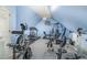 Home gym with athletic equipment, ceiling fan, and Carolina Tar Heels insignia at 1532 Rockwood Downs Dr, Wendell, NC 27591