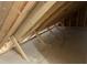 Spacious unfinished attic showing subflooring and roof supports at 162 Kirkwall Ln, Selma, NC 27576