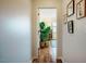 Hallway leading to a bedroom, featuring hardwood floors and neutral wall colors at 211 Monarda Way, Hillsborough, NC 27278