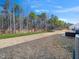 View of backyard with grassy area and treeline, offering a serene outdoor space at 325 Azalea Gaze Dr, Youngsville, NC 27596