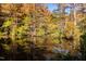Scenic pond surrounded by vibrant fall foliage reflecting the clear blue sky above at 408 Carpels Dr, Wendell, NC 27591