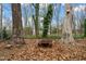 Backyard with mature trees, fire pit, and foliage, offering a relaxing outdoor space at 5815 Windham Dr, Raleigh, NC 27609