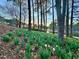 Scenic landscape with blooming daffodils, towering trees, and a tranquil pond in the background at 112 Parkmeadow Dr, Cary, NC 27519