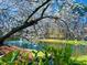 The serene pond featuring a fountain, framed by blooming trees, creates a picturesque scene in the community at 112 Parkmeadow Dr, Cary, NC 27519