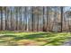 Expansive backyard featuring a lush lawn and a convenient storage shed nestled among mature trees at 1196 Smith Creek Way, Wake Forest, NC 27587