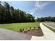 Well-maintained green space showcasing lush lawn, manicured landscaping, and a peaceful setting at 2880 Quarry Rd # 163, Rolesville, NC 27571