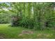 Backyard with mature trees, green grass, and a fire pit at 292 Cedar Lake Rd # A, Chapel Hill, NC 27516