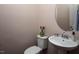Half bath featuring a pedestal sink, oval mirror and charming decor at 345 Rubrum Dr, Hillsborough, NC 27278