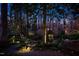 Beautifully landscaped backyard at night with illuminated trees, gazebo, and a tranquil ambiance at 402 Westwood Dr, Chapel Hill, NC 27516