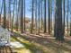 Backyard view of mature trees with partial view of house exterior at 42 Renwick Ct, Raleigh, NC 27615