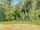 A lush, wooded backyard, offering a serene and private outdoor space, perfect for relaxation and nature appreciation at 511 Valentine Ct, Graham, NC 27253