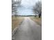 Long driveway leading to a property surrounded by open fields and flowering trees at 582 Ebenezer Church Rd, Coats, NC 27521