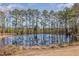 Scenic view of tranquil pond surrounded by tall pine trees reflecting in the water at 902 Zion Church Rd, Sanford, NC 27330