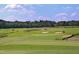 This community features a well-manicured golf course surrounded by lush greenery at 156 Stoney Creek Way, Chapel Hill, NC 27517